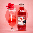 Oh My Dog ! (carton de 6)